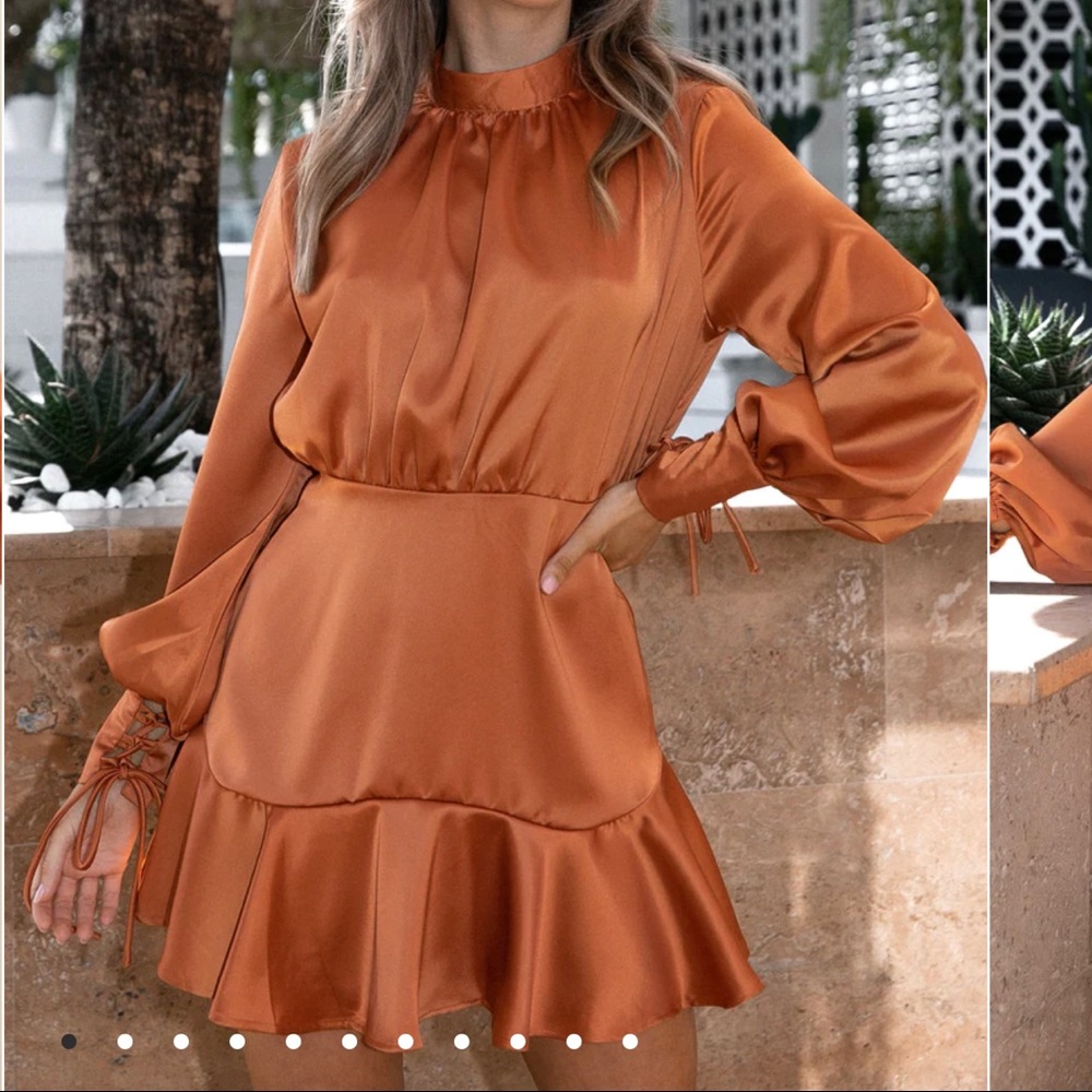 Petal and Pup Rust Dress